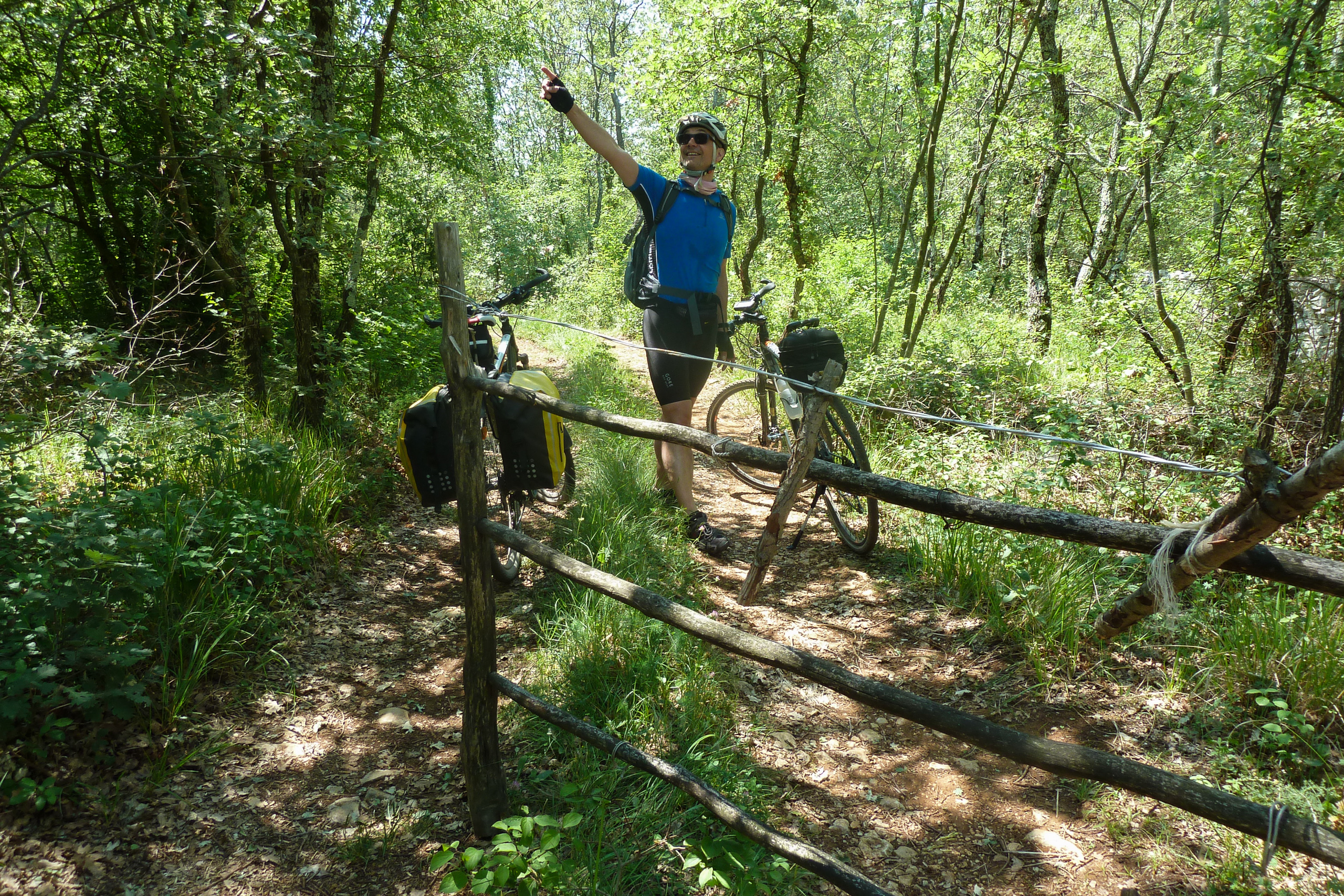 Noch ein Hindernis – Weidezaun aus Holzstangen